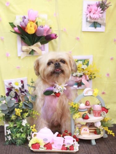 20230326ムーくん